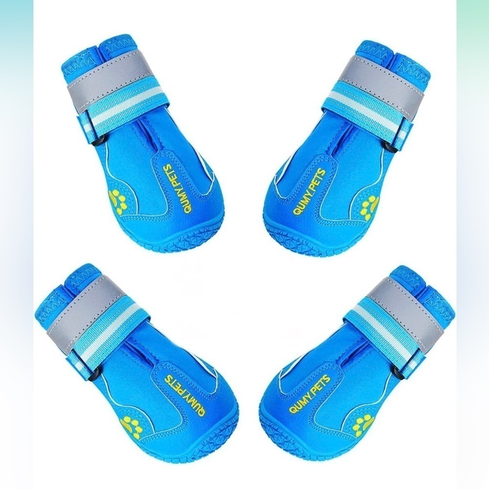 New Dog Shoes
